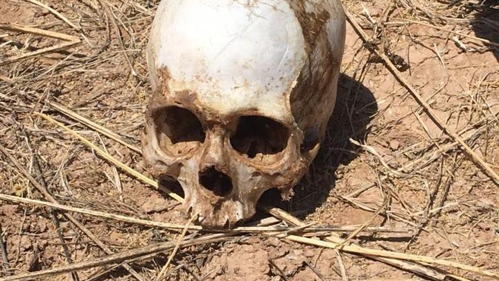 Veterans advocacy group reports finding human skull near Marana